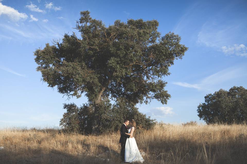 Postboda de Yoel y Laura