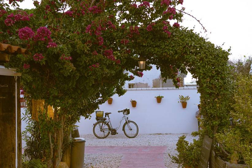 Mar y Monte Conil