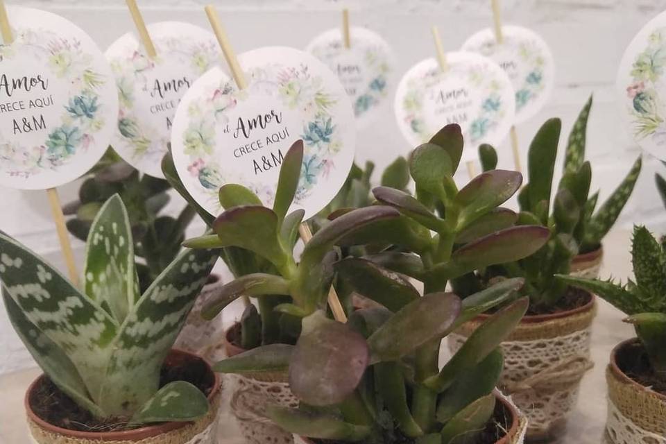 Detalles para invitados