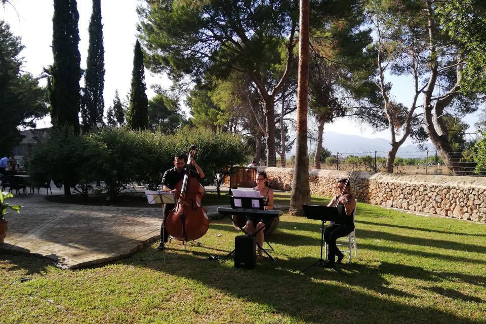 Música para ceremonia