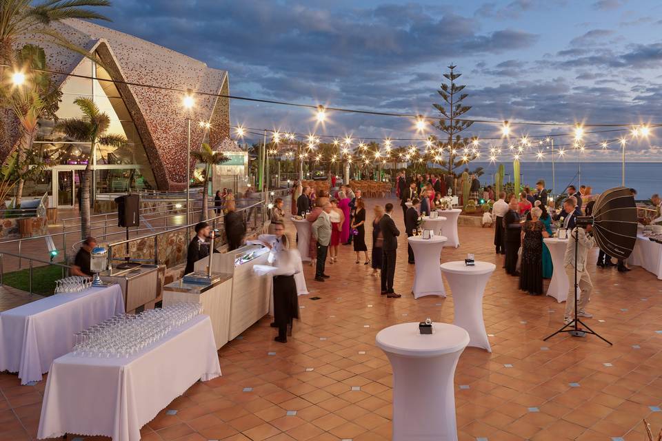Coctel
