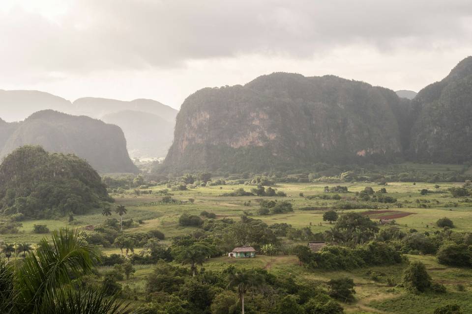 Cuba, plantación tabaco