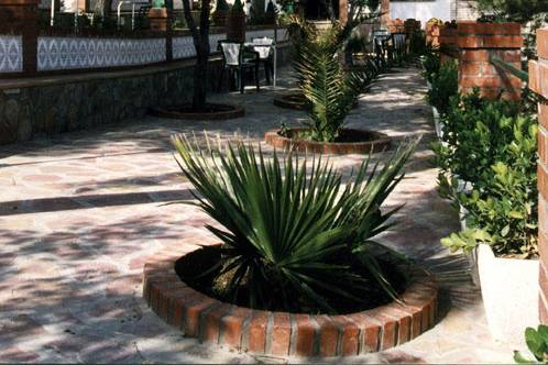 Zona del jardín