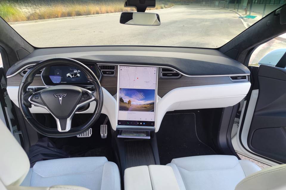 Tesla Wedding