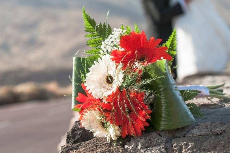 Postboda de Ana y Gerard