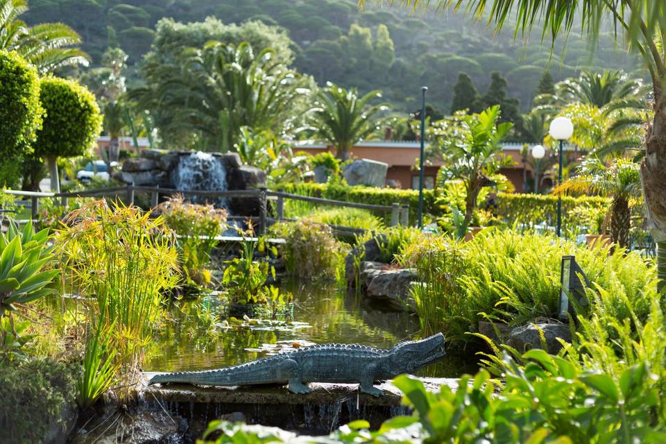 Piscina y jardines