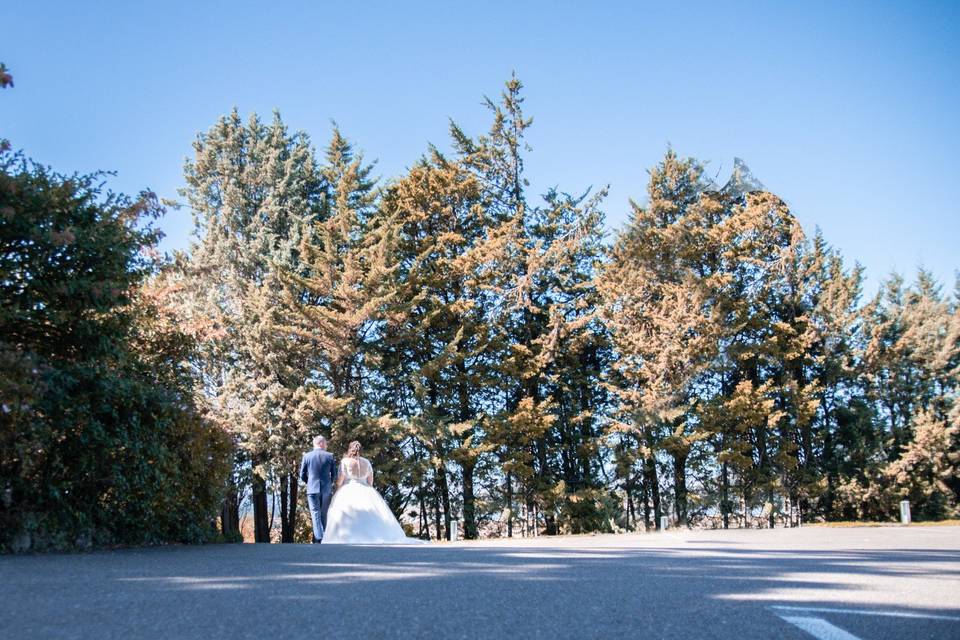 Boda de Ainhoa & Aris