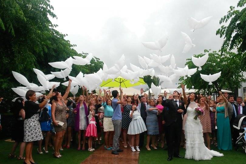 Suelta de Llumywings en boda