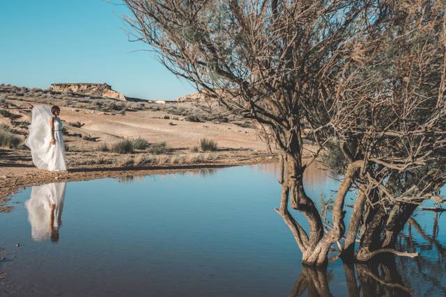 Postboda bardenas
