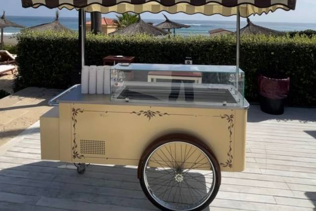 Carrito pisina