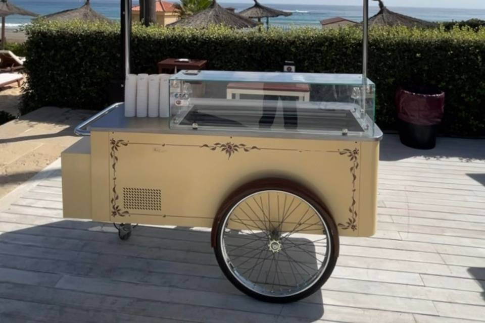 Carrito pisina