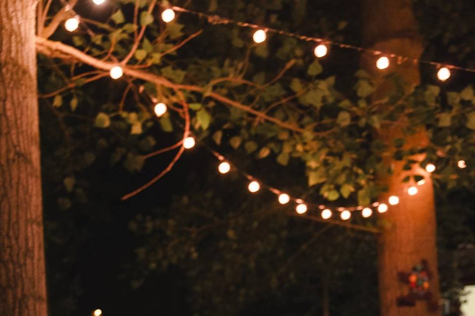 Luces