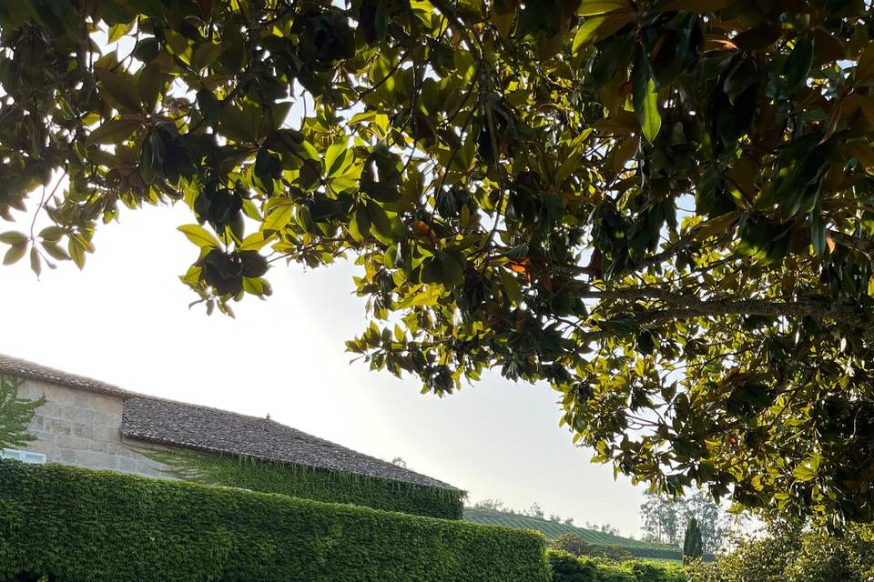 Banquete