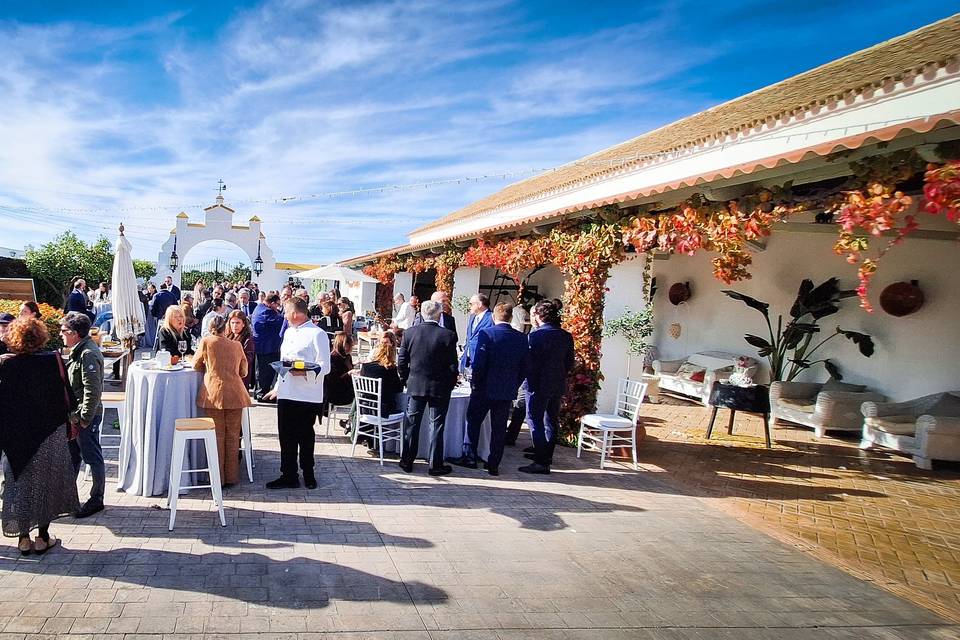 Amenización aperitivos