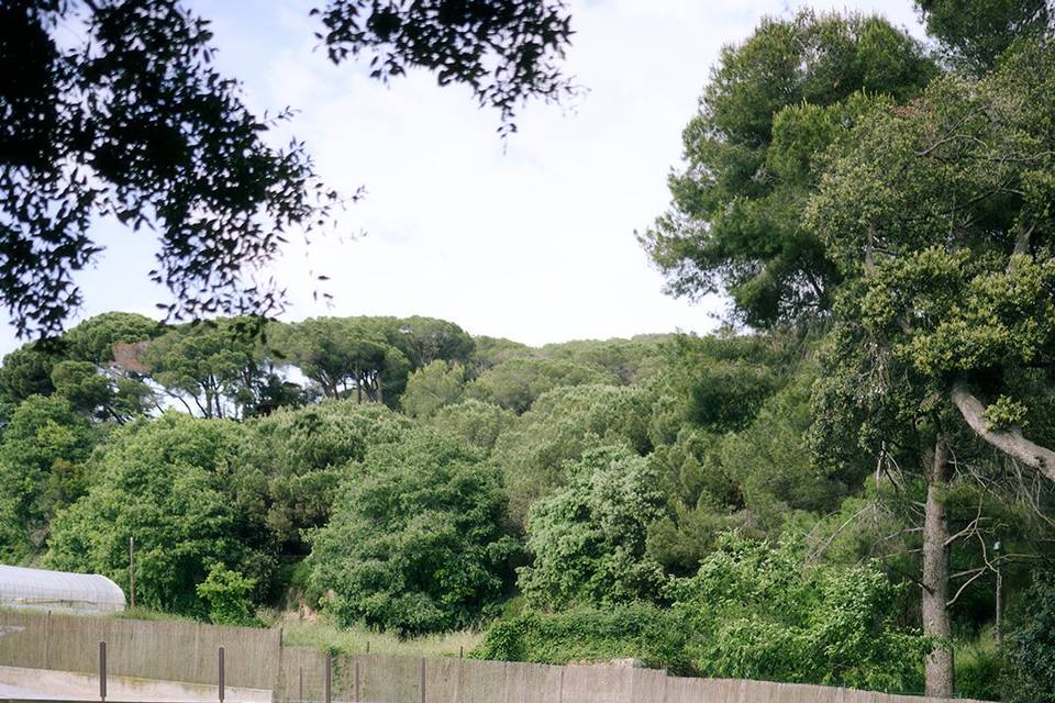 Ceremonia en el Lago