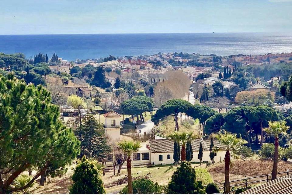 Las vistas