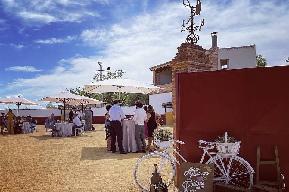 Cóctel en plaza de toros