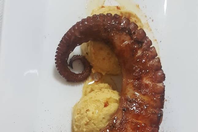 Pulpo con humus casero
