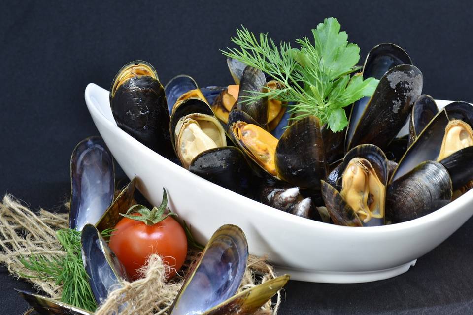 Mejillones