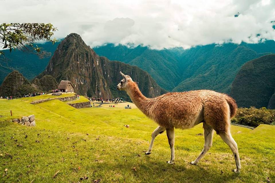 Machu Pichu