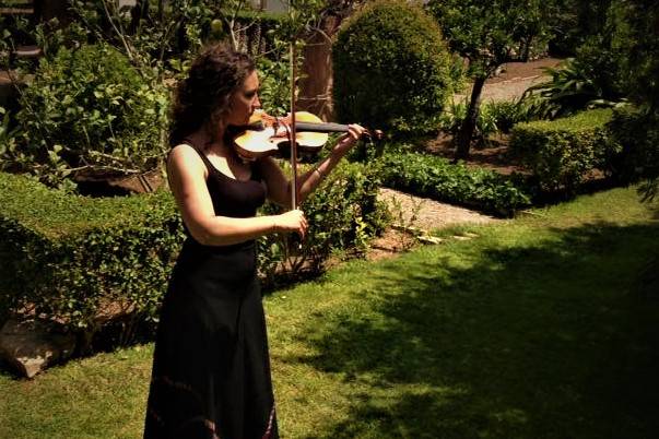 Jardines