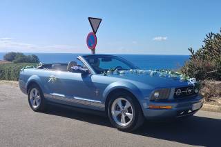 Mustang dream