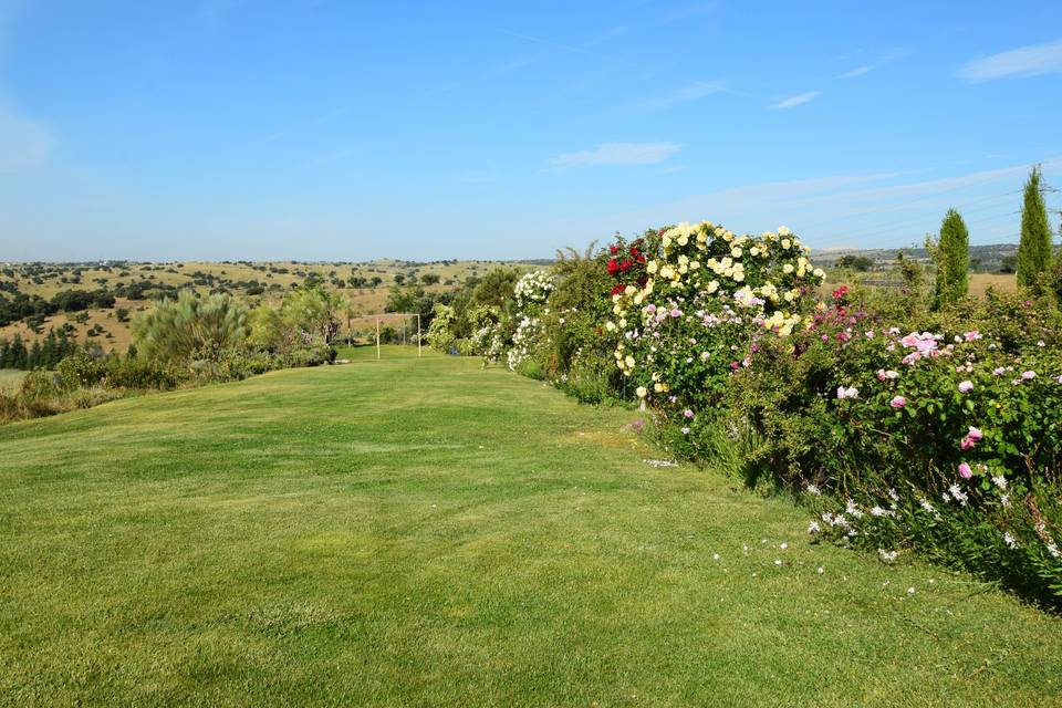 Aal Cachucho, Un oasis en el campo