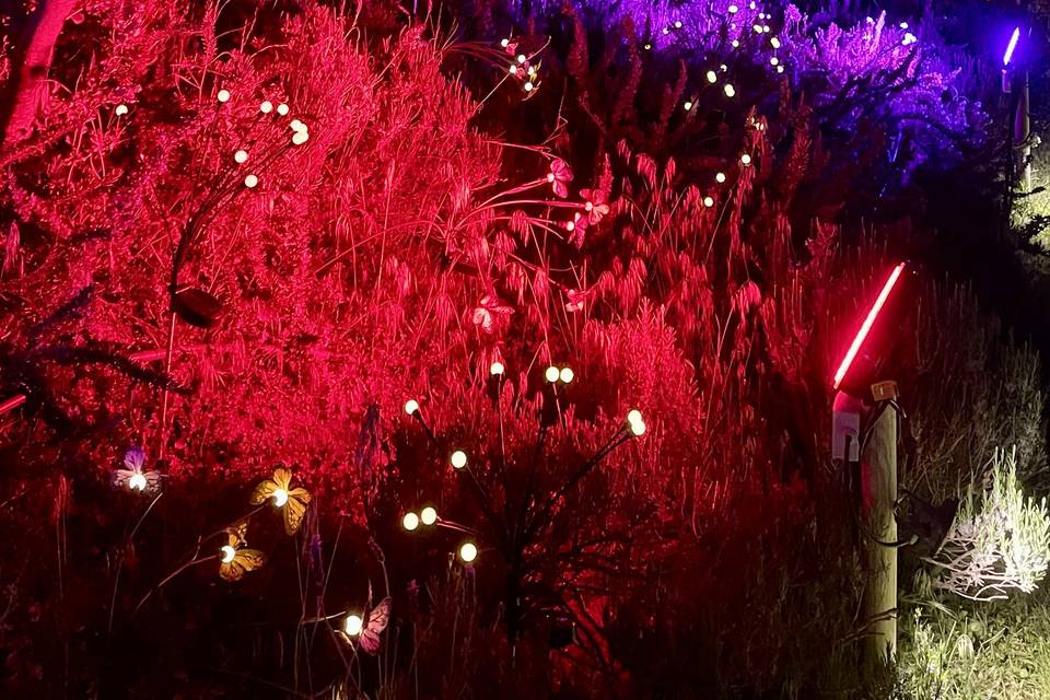 Espectáculo de luz