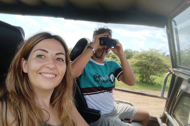 Safari