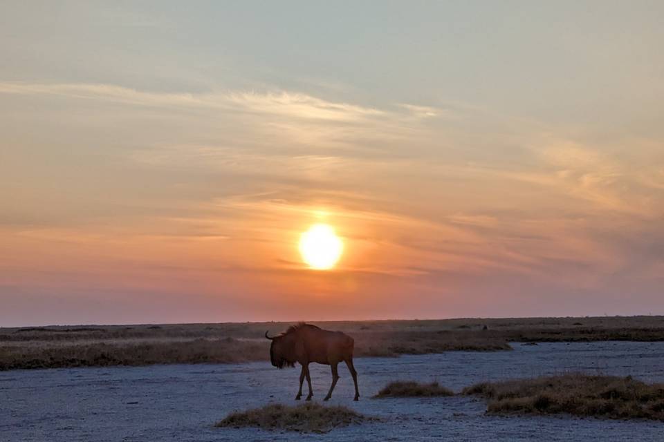 Makgadkgadi Pans, Botswana