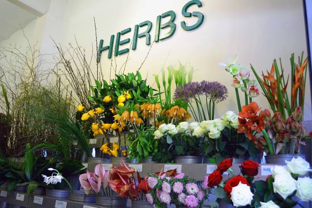 Herbs Barcelona