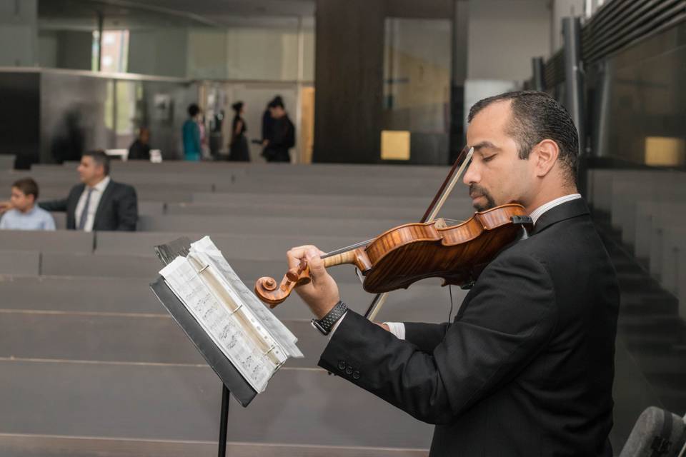 Violin solista