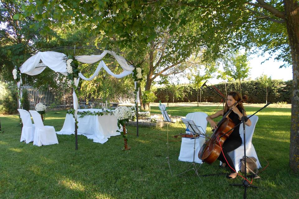 Durante una ceremonia