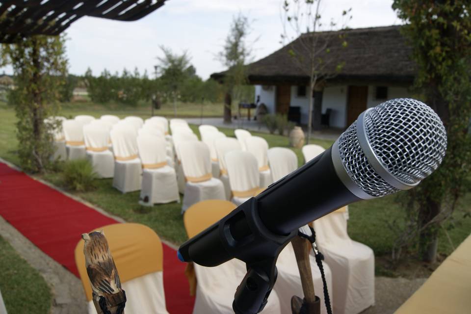 Detalle de micrófono para ceremonia