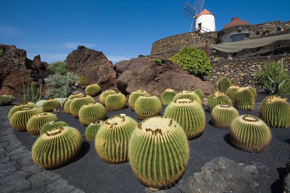 Lanzarote