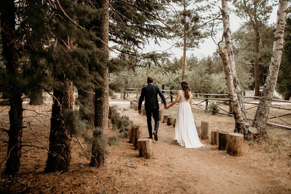 Bodas en la naturaleza