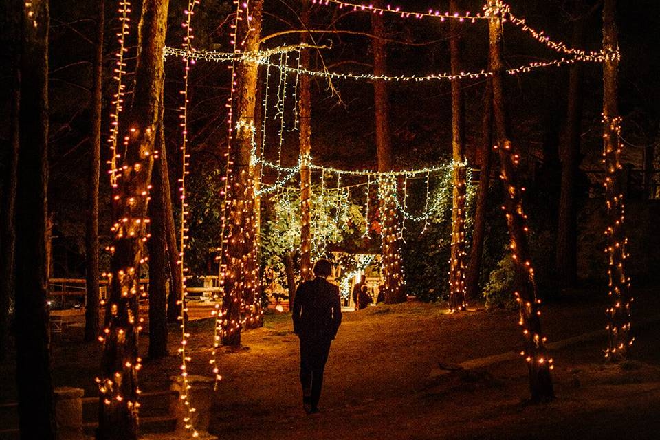 Iluminación de bodas