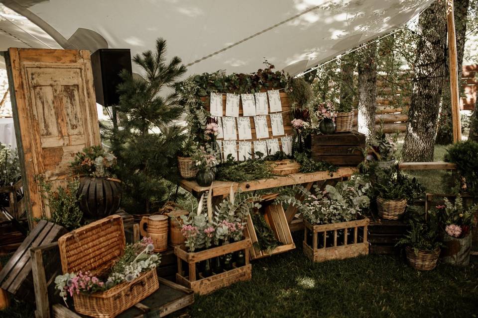 Photocall de bodas