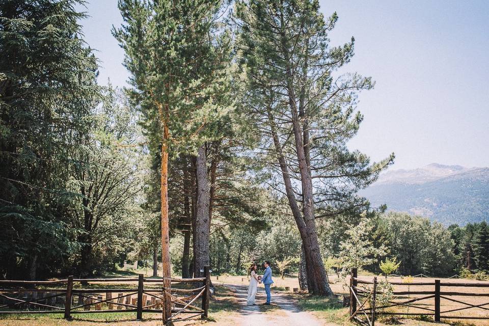 Bodas en el campo