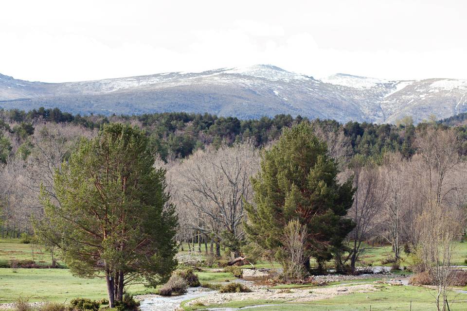 Bodas en el campo