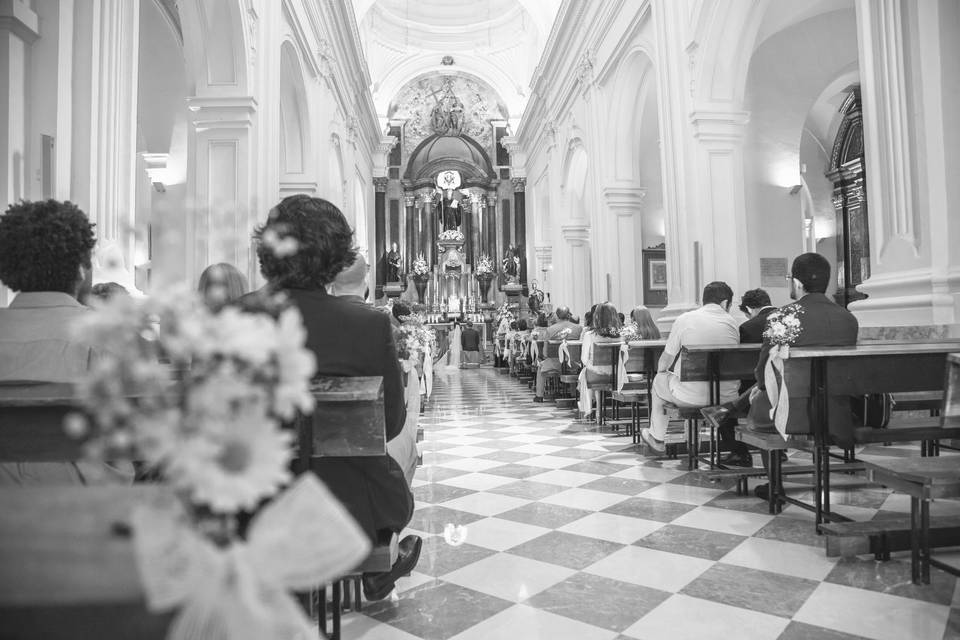 Jose Ortega Fotógrafos