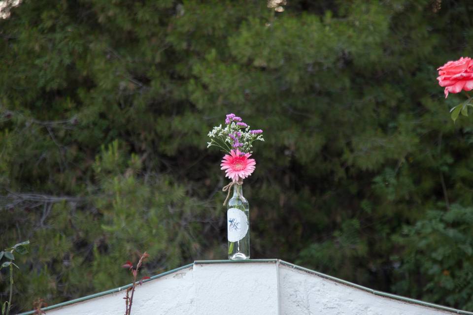 Jose Ortega Fotógrafos