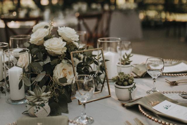 Zanel Special Events