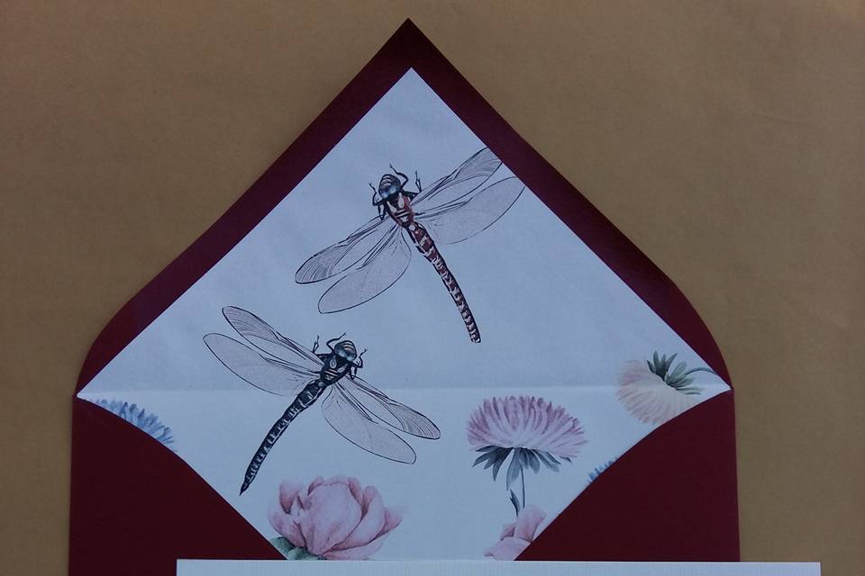 Conjunto libélulas