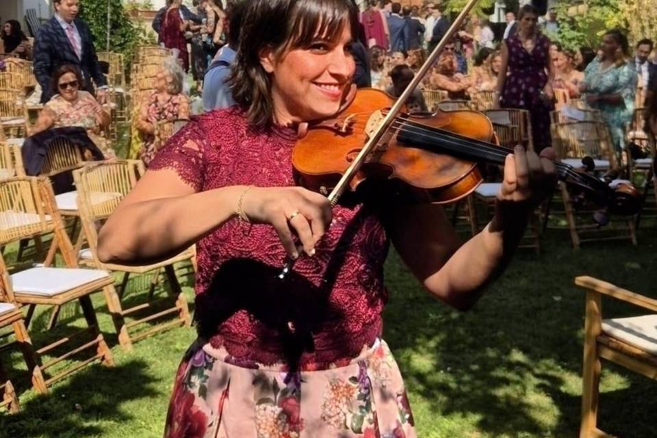 Violín per tutti
