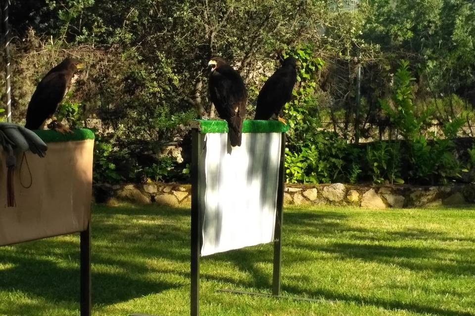 Banquete en el Pazo de Lama