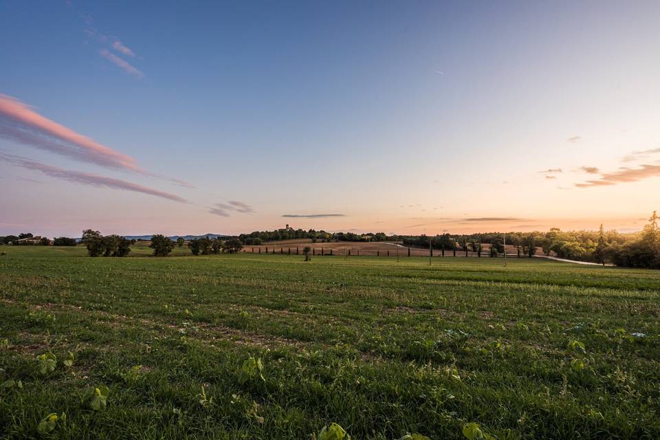 Campo mas garriga