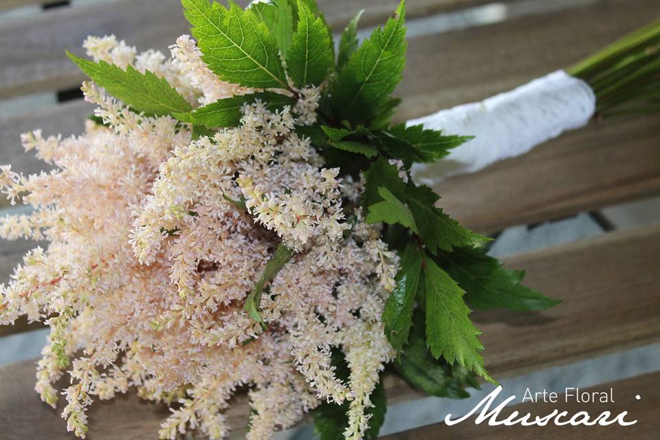 Astilbe