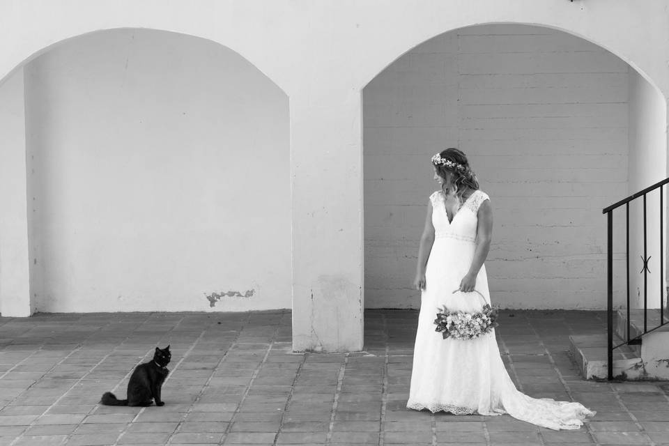 Lluvia de Bodas