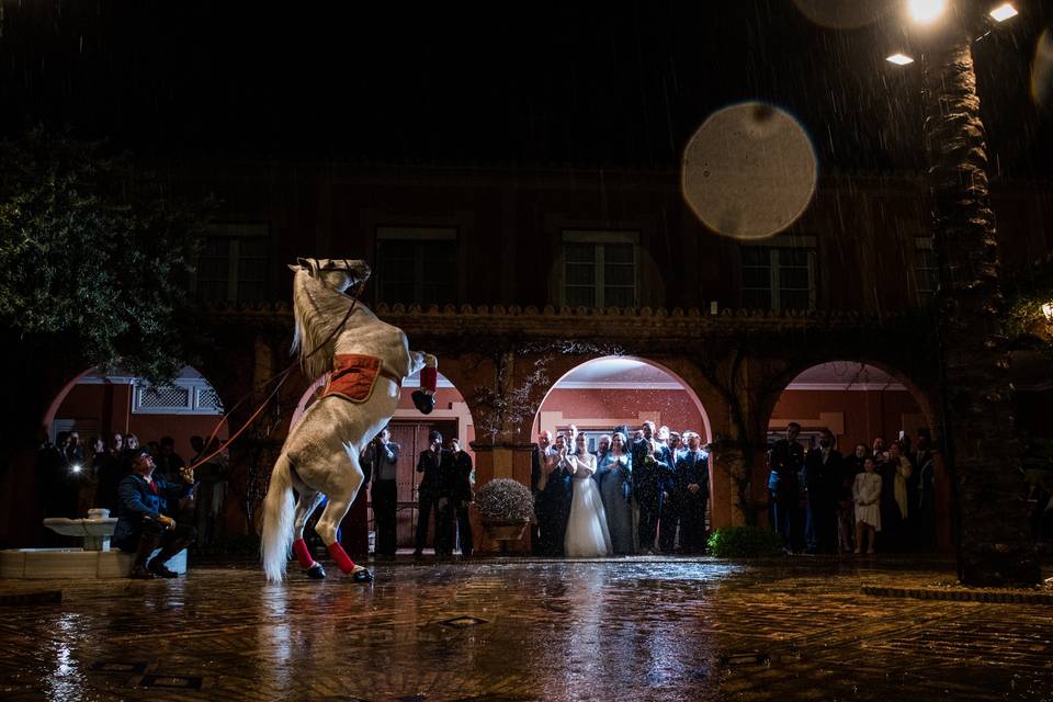 Alejandro Mármol Fotografía ©